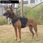 ICEFANG No Pull Tactical Dog Harness for Large Dogs,Adjustable Dog Vest - Image 2