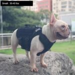 ICEFANG No Pull Tactical Dog Harness for Small Dogs,Adjustable Dog Vest - Image 2