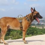 ICEFANG Quick-Moving Tactical Dog Harness for Large Dogs,No Pull Dog Vest - Image 2