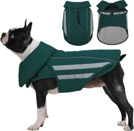 IECOii Waterproof Dog Jacket for Large Dogs Winter Coat Reflective Warm, M