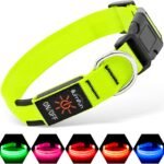 Illumifun LED Dog Collar, USB-C Rechargeable Light Up Collar Glow in Dark, Adjustable Pet Safety Lights for Night Walking Camping (Green, Large)