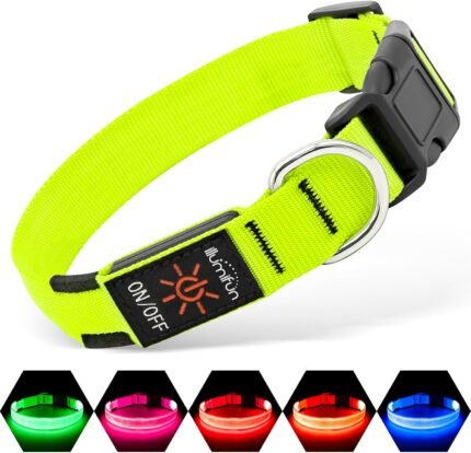 Illumifun LED Dog Collar, USB-C Rechargeable Light Up Collar Glow in Dark, Adjustable Pet Safety Lights for Night Walking Camping (Green, Large)