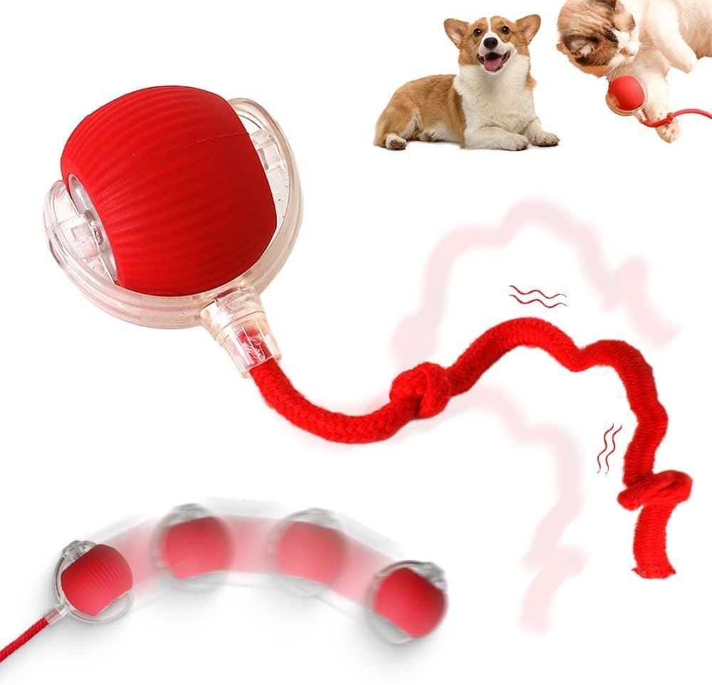 Interactive Cat Toys Balls, 2026 New Dog Toy Interactive Rolling Dog Ball, Motion Activated Cat Balls with 360° Smart Automatic Rolling Moving for Bored Kitten Pet Cats Dogs (Red) Interactive Cat Toys Balls, 2026 New Dog Toy Interactive Rolling Dog Ball, Motion Activated Cat Balls with 360° Smart Automatic Rolling Moving for Bored Kitten Pet Cats Dogs (Red)