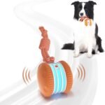 Interactive Dog Ball,Random Path Electric Moving Dogs Toy with Rope