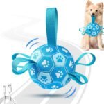 Interactive Dog Toys Dog Soccer Ball to Keep Them Busy(Blue)