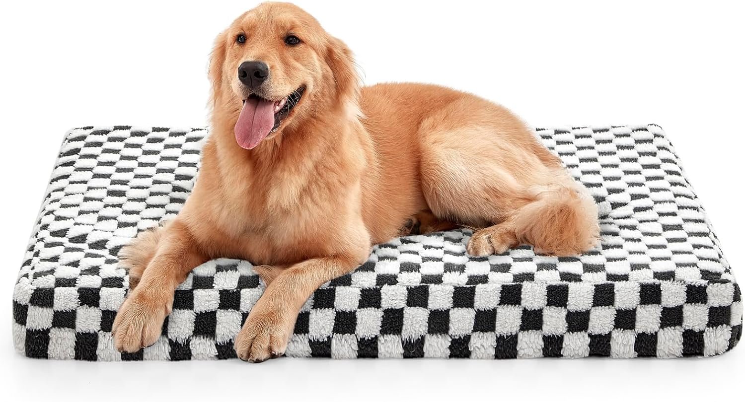 JOEJOY Dog Bed for Large Dogs, XLarge Orthopedic Dog Bed with Removable Washable Cover, Cute Modern Plush & Memory Egg Crate Foam Dog Bed, 42 x 28 inch, Grey JOEJOY Dog Bed for Large Dogs, XLarge Orthopedic Dog Bed with Removable Washable Cover, Cute Modern Plush & Memory Egg Crate Foam Dog Bed, 42 x 28 inch, Grey