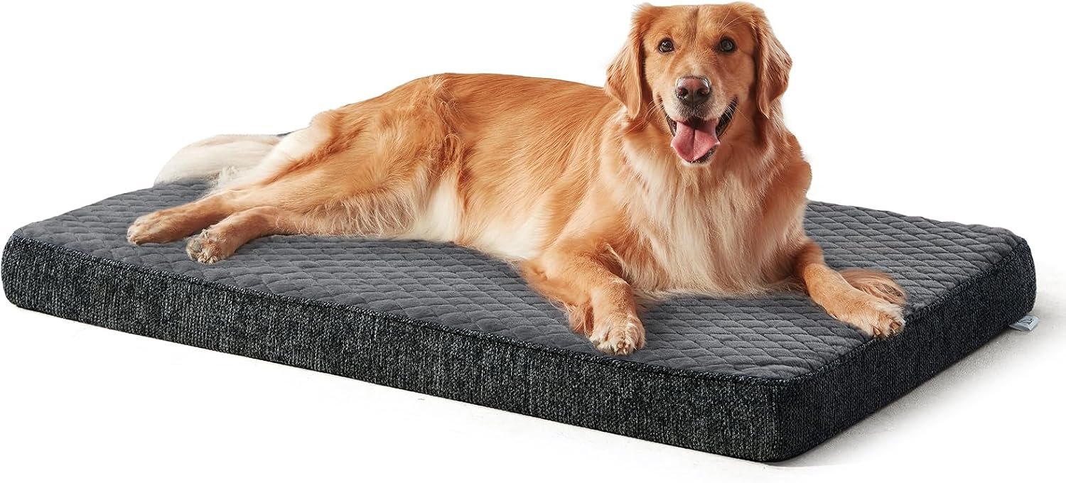 JOEJOY Orthopedic Dog Bed for Large Dogs, Washable Dog Crate Bed Large Sized with Removable Cover, Egg Memory Foam Big Pet Beds, Grey, 35″x22″ JOEJOY Orthopedic Dog Bed for Large Dogs, Washable Dog Crate Bed Large Sized with Removable Cover, Egg Memory Foam Big Pet Beds, Grey, 35″x22″