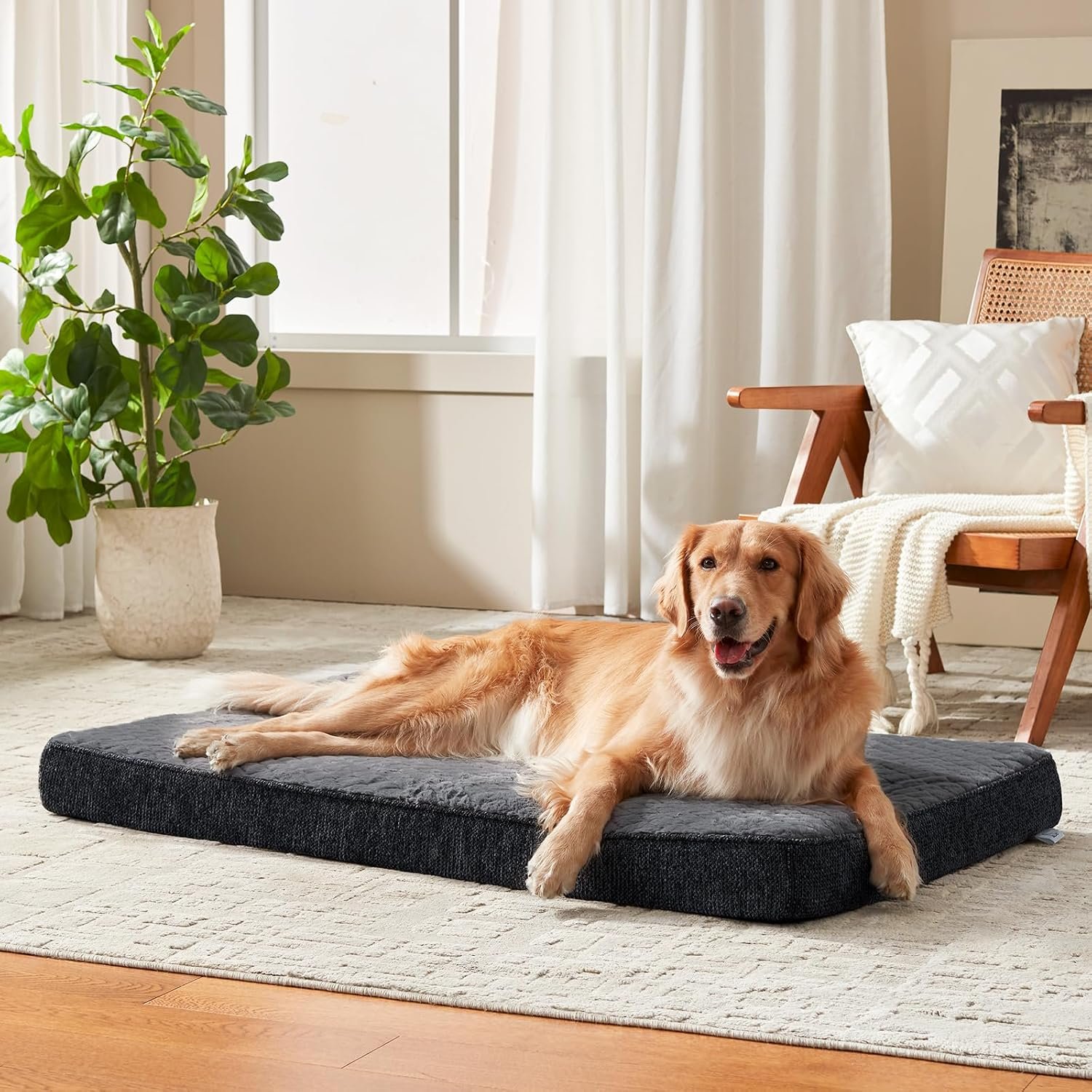 JOEJOY Orthopedic XL Dog Bed for Large Dogs, Waterproof Dog Beds for Crate JOEJOY Orthopedic XL Dog Bed for Large Dogs, Waterproof Dog Beds for Crate