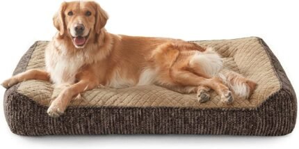 JOEJOY XL Orthopedic Dog Bed Large Size Dog, Extra Thick Big Dogs Couch Bed