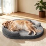 JOEJOY XL Orthopedic Dog Beds Large Sized Dog, Extra Large Washable Waterproof Oval Large Dog Bed with Removable Cover, Egg-Crate Foam Pet Bed with Bolster & Non-Skid Bottom, Dark Grey, 42''x32''