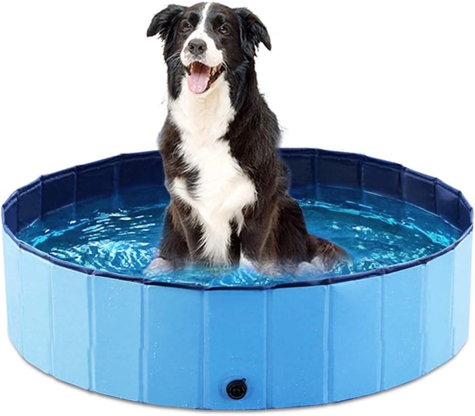 Jasonwell Foldable Dog Pet Bath Pool Collapsible Dog Pet Pool Bathing Tub Kiddie Pool Doggie Wading Pool for Puppy Small Medium Large Dogs Cats and Kids 32″ Blue Jasonwell Foldable Dog Pet Bath Pool Collapsible Dog Pet Pool Bathing Tub Kiddie Pool Doggie Wading Pool for Puppy Small Medium Large Dogs Cats and Kids 32″ Blue