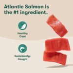 Jinx Grain Free Dry Dog Food - Real Salmon, Sweet Potato & Carrot, 4lb - Image 2