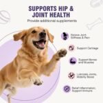 Joint Supplement for Dogs 200 ct, Glucosamine Chondroitin MSM for All Dogs - Image 2