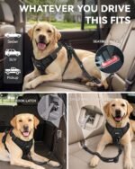 Joytale 3-in-1 Bungee Dog Seat Belt for Car, Medium and Large Dogs, Black - Image 2