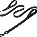 Joytale Dog Leash for Large Dogs that Pull, Double Handle, 6FT, Black
