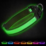 Joytale Light Up Dog Collar, 7 Color Night Safety & Daily Wear, Black, M