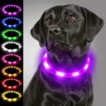 Joytale Light Up Dog Collar, LED Silicone Cut-to-Fit Rainproof, Purple