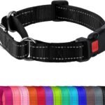 Joytale Martingale Collar for Dogs, Escape Proof No Pull, Black, L