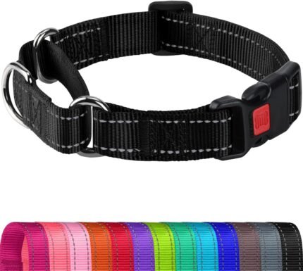 Joytale Martingale Collar for Dogs, Escape Proof No Pull, Black, L