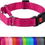 Joytale Martingale Collar for Dogs, Escape Proof No Pull, Hotpink, M