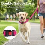 Joytale Martingale Collar for Dogs, Escape Proof No Pull, Hotpink, M - Image 2