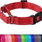 Joytale Martingale Collar for Dogs, Escape Proof No Pull, Red, M