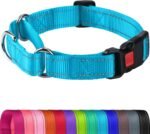 Joytale Martingale Collar for Dogs, Escape Proof No Pull, Sky Blue, M