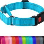 Joytale Martingale Collar for Dogs, Escape Proof No Pull, Sky Blue, M
