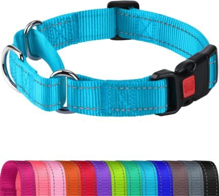 Joytale Martingale Collar for Dogs, Escape Proof No Pull, Sky Blue, M