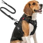Joytale No Pull Dog Harness & Seat Belt, Easy On 3-Buckle, M, Black