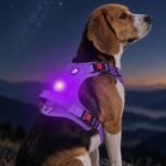 Joytale No Pull Light Up Dog Harness, Night Walks, AirTag Holder, Purple M