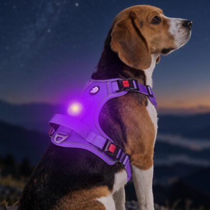 Joytale No Pull Light Up Dog Harness, Night Walks, AirTag Holder, Purple M