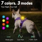 Joytale No Pull Light Up Dog Harness, Night Walks, AirTag Holder, Purple M - Image 2