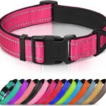 Joytale Reflective Dog Collar, Adjustable Neoprene Padded, Hotpink L