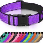Joytale Reflective Dog Collar, Adjustable Neoprene Padded, Purple L