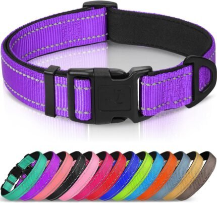 Joytale Reflective Dog Collar, Adjustable Neoprene Padded, Purple L