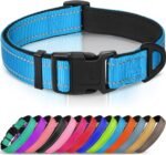 Joytale Reflective Dog Collar, Adjustable Neoprene Padded, Sky Blue M