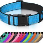 Joytale Reflective Dog Collar, Adjustable Neoprene Padded, Sky Blue M