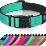 Joytale Reflective Dog Collar, Adjustable Neoprene Padded, Teal M