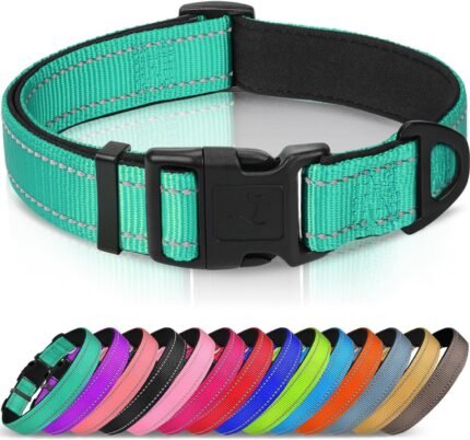 Joytale Reflective Dog Collar, Adjustable Neoprene Padded, Teal M