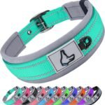 Joytale Reflective Dog Collar for Large Dogs with Wide Padding, Teal