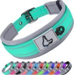 Joytale Reflective Dog Collar for Large Dogs with Wide Padding, Teal