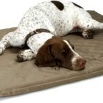 K&H Heating Pad, Lectro-Soft Outdoor Pet Bed, Safety Listed, 36x25in 60W