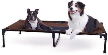 K&H Outdoor Elevated Dog Bed for Large & X-Large Pets, Chocolate, 50x32in