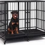 KOKOTANGS 54 Inch Heavy Duty Dog Crate Cage with Divider, Indestructible and Escape Proof Steel Kennel Indoor for High Anxiety Dogs with Sturdy Locks, Double Door and Tray, Extra Large XL XXL, Black