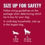 KONG Flyer, Natural Rubber Flying Disc Fetch Toy, for Small Dogs - Image 2