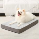 KSIIA Orthopedic Dog Bed for Small Dogs with Waterproof Lining, Grey, 23×17