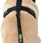 Knee Brace Fastening Belt for Dog – Size Harness + Belt: L 69-96 cm