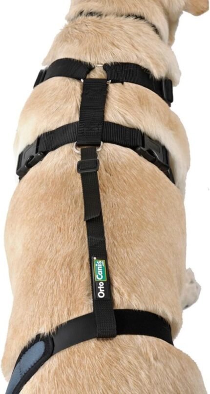Knee Brace Fastening Belt for Dog – Size Harness + Belt: L 69-96 cm