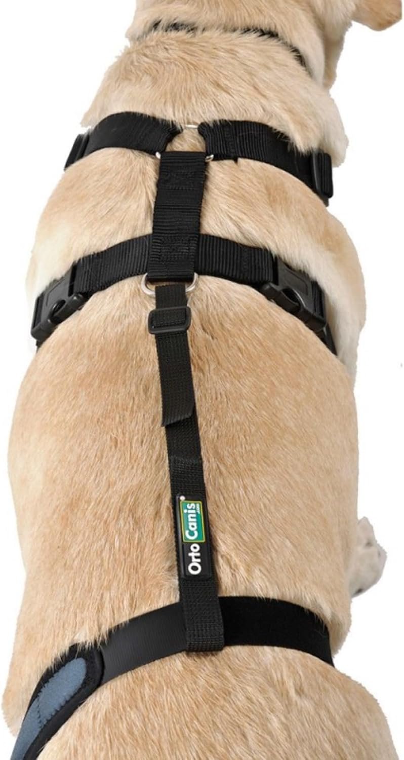 Knee Brace Fastening Belt for Dog – Size Harness + Belt: L 69-96 cm Knee Brace Fastening Belt for Dog – Size Harness + Belt: L 69-96 cm